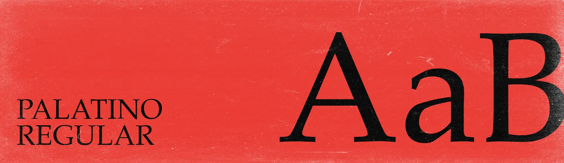 Un dettaglio della font Palatino Regular, utilizzato nella brand identity Fiera Nazionale del vino