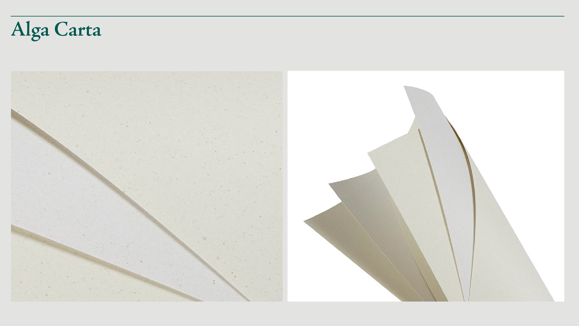 Un dettaglio sulla carta utilizzata per le stampe di Salone Verde