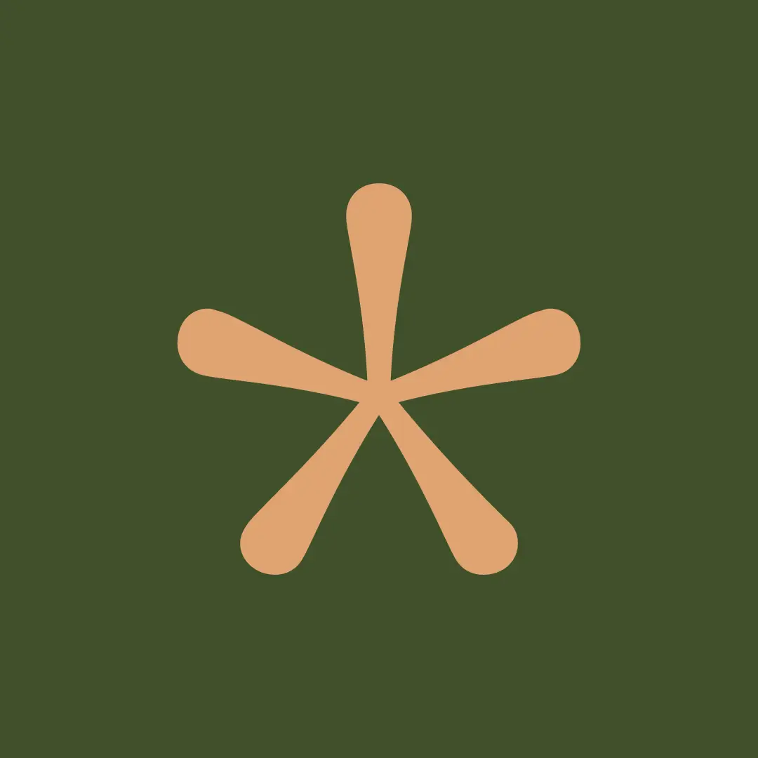 Il pittogramma singolo del brand d'Oltralpe, riconducibile ad un asterisco