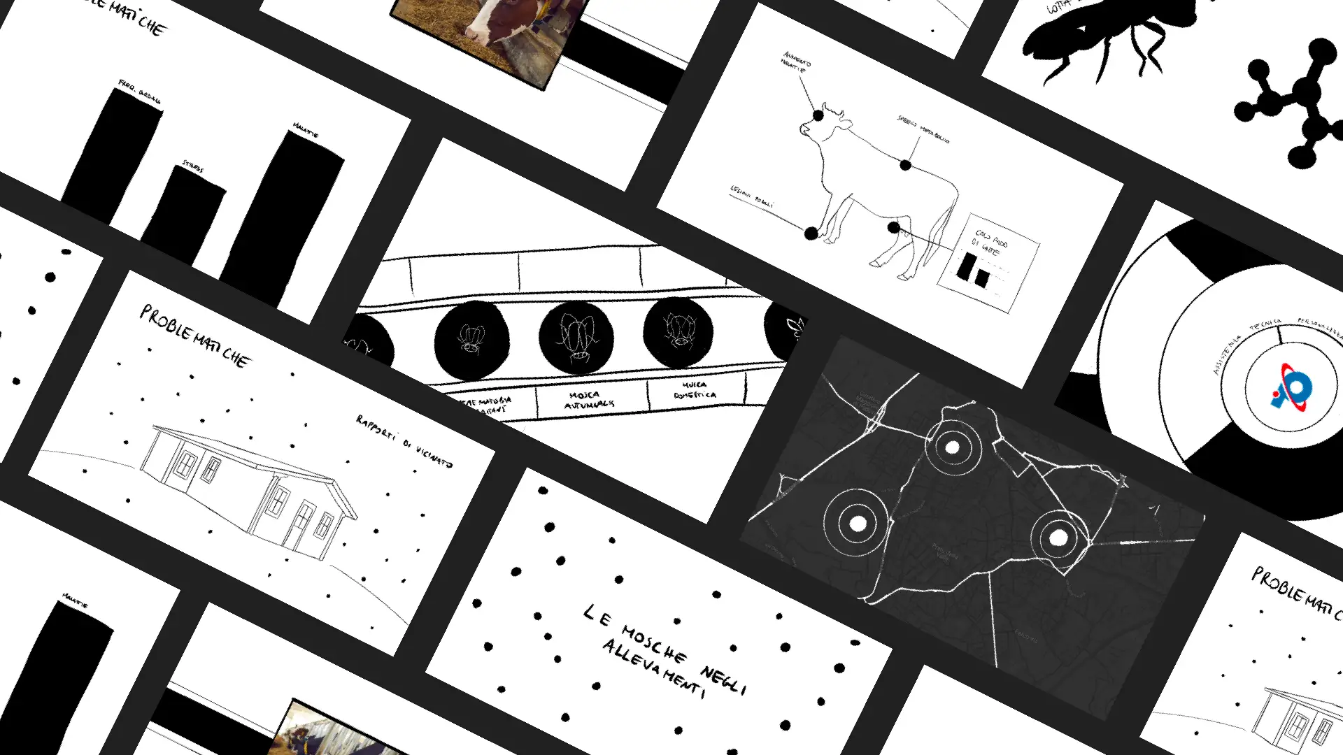 Alcuni frame dello storyboard del video Lotta Bio integrata