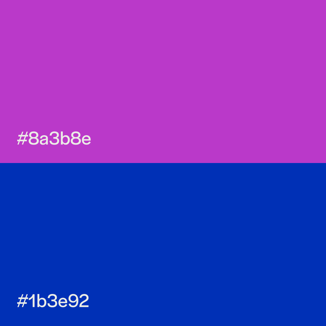 Immagine che mostra 2 dei 4 colori della palette e ne descrive i codici