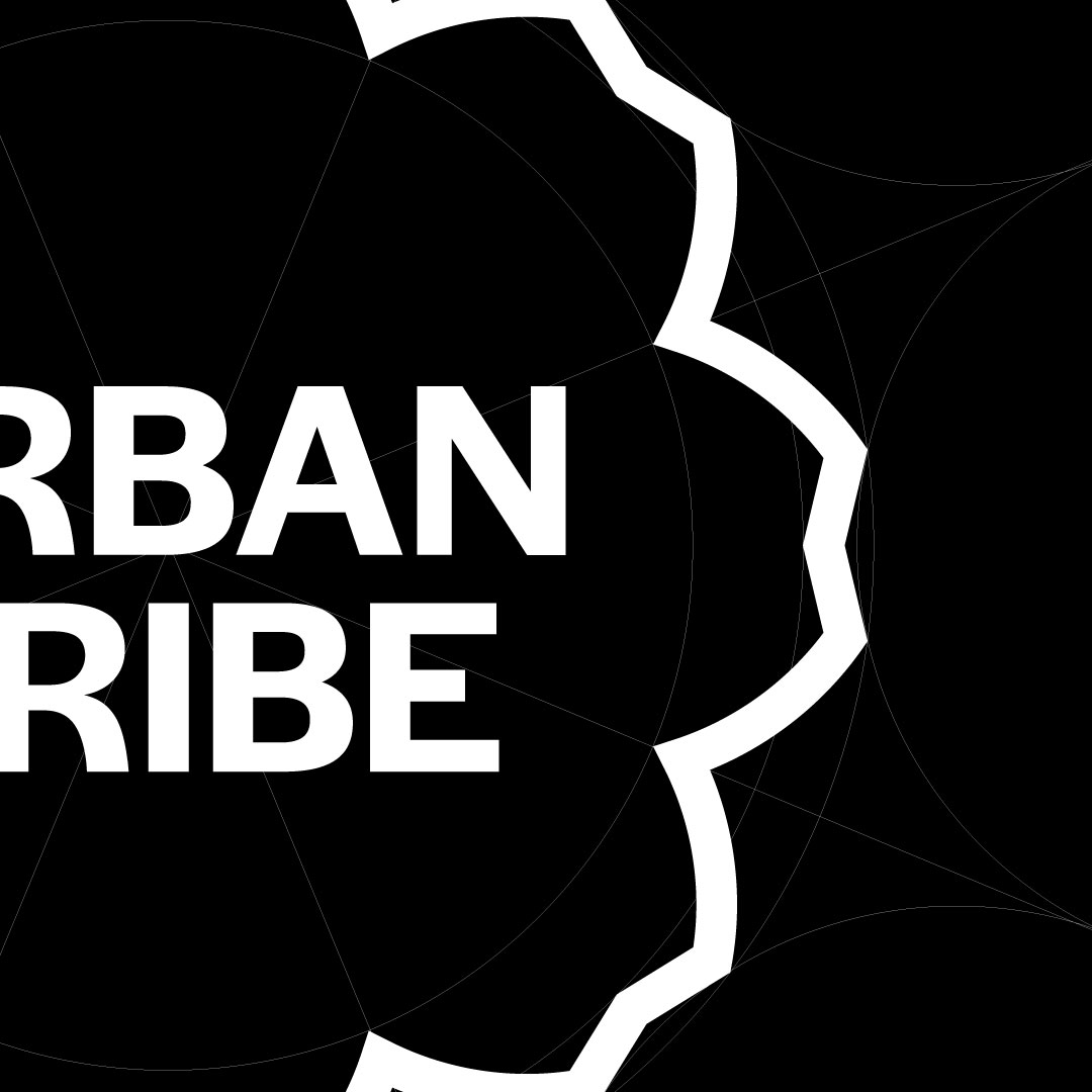 Immagine che mostra come è stata sviluppata la geometria del logo